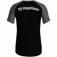 TSV Alteglofsheim Jako T-Shirt