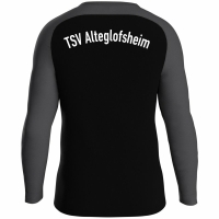 TSV Alteglofsheim Jako Sweat