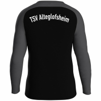 TSV Alteglofsheim Jako Sweat schwarz/anthrazit Gr. XL